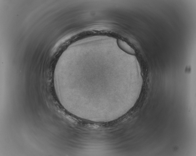 X0000111840920200909031659