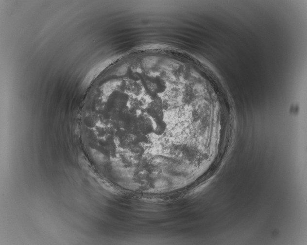 X0000111840921200909031659