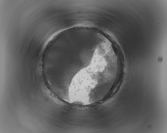 X0000111840923200909031700