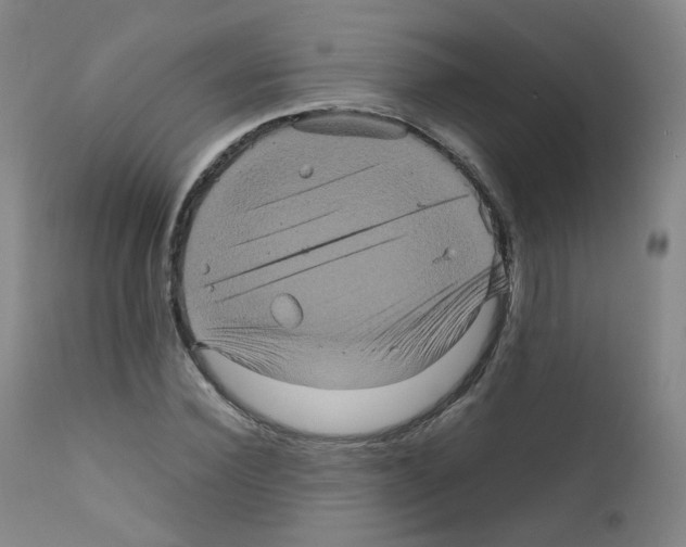 X0000111840924200909031700