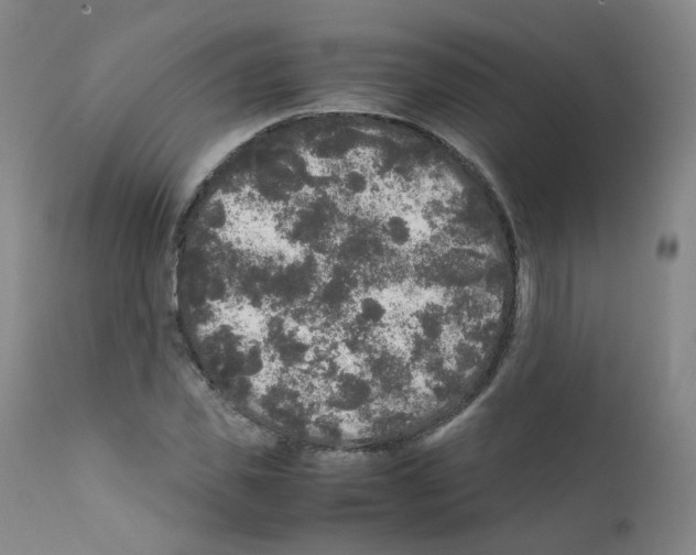 X0000111840925200909031700