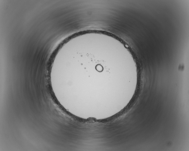 X0000111840926200909031700