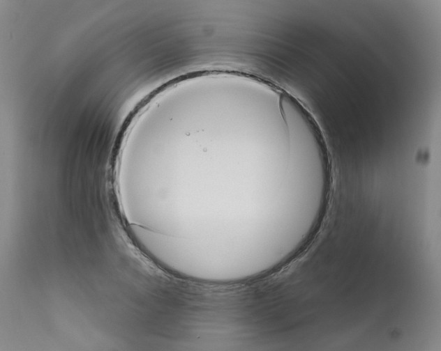 X0000111840928200909031700