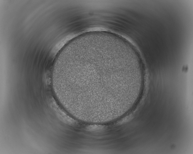 X0000111840929200909031700