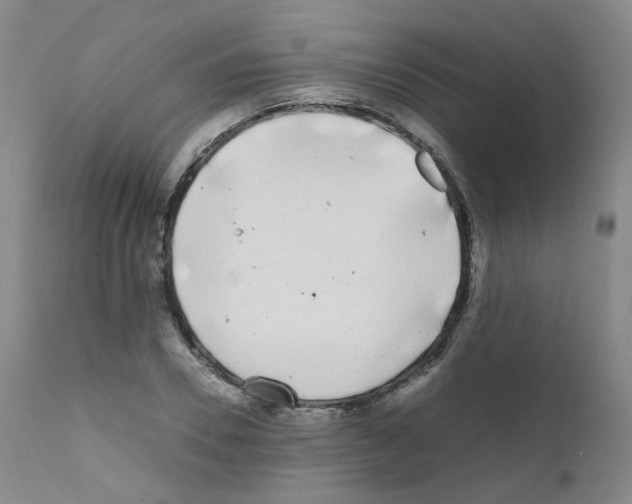 X0000111840930200909031700