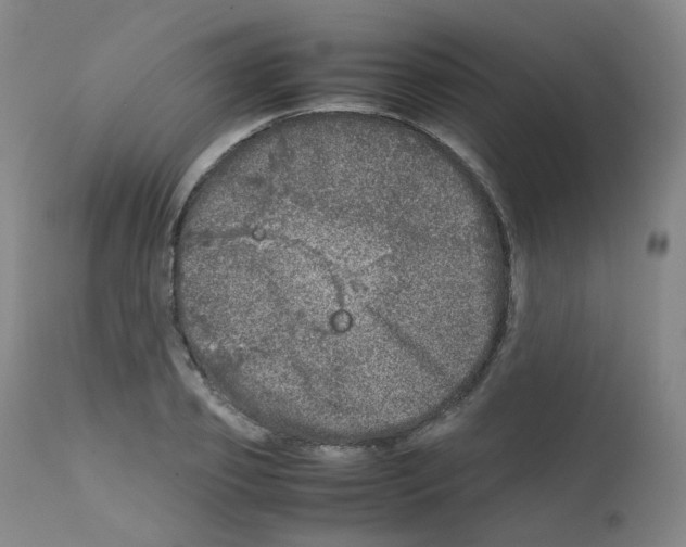 X0000111840933200909031700