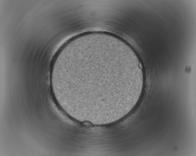 X0000111840934200909031700