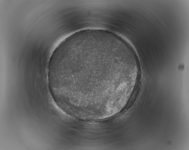 X0000111840935200909031700