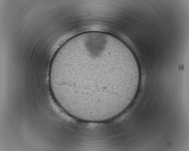 X0000111840938200909031700