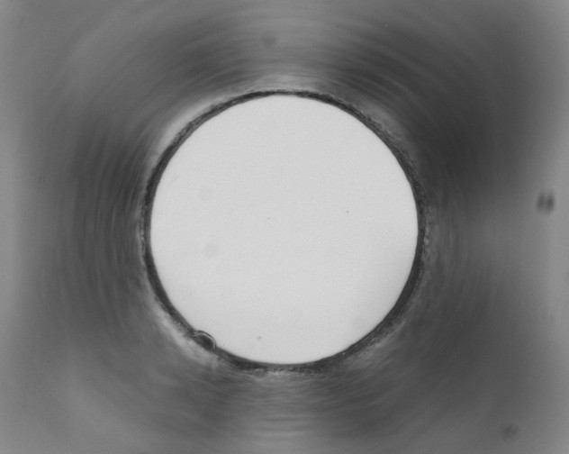 X0000111840942200909031700