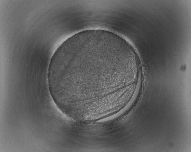 X0000111840943200909031700