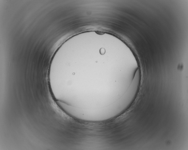 X0000111840946200909031700