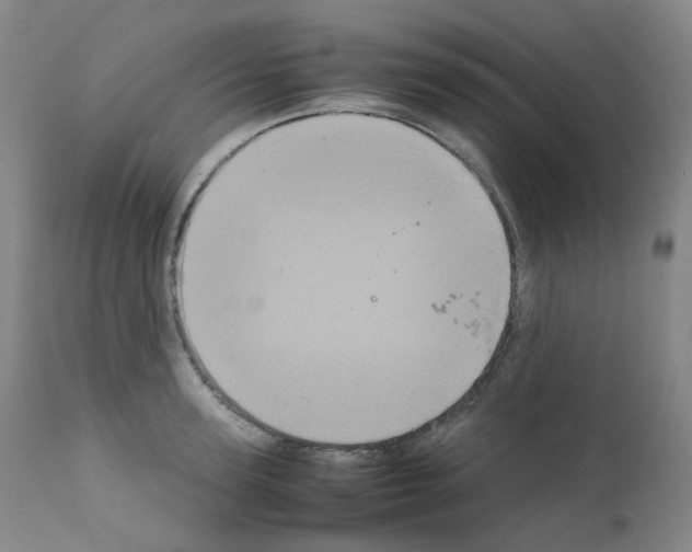 X0000111840947200909031700