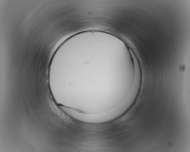 X0000111840948200909031700