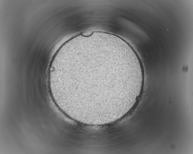 X0000111840949200909031700