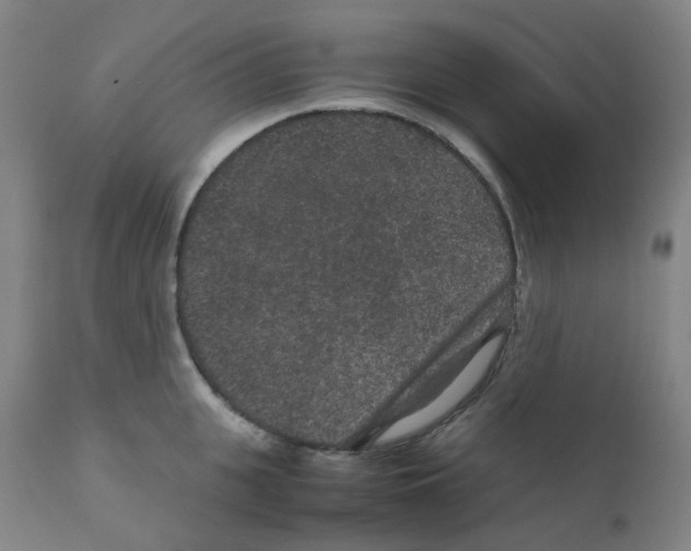 X0000111840951200909031700