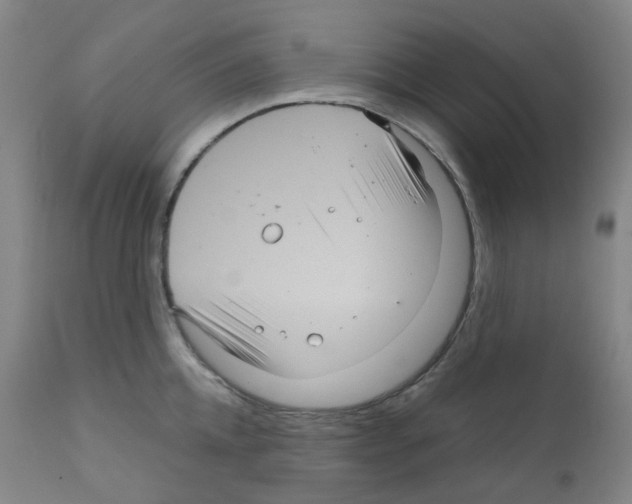 X0000111840952200909031700