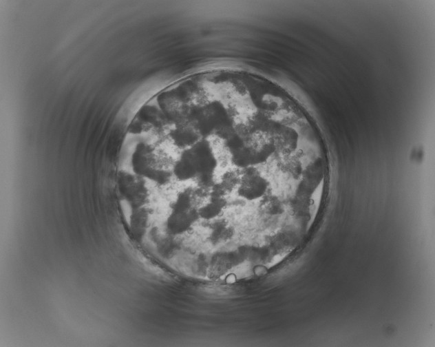 X0000111840953200909031700