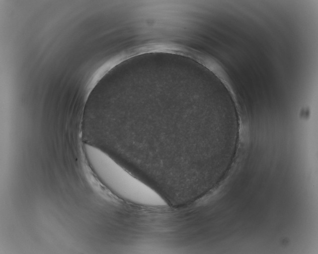 X0000111840954200909031700