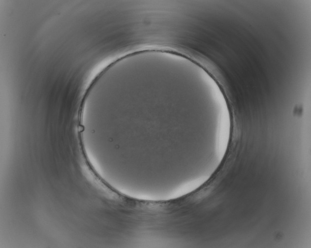 X0000111840958200909031700