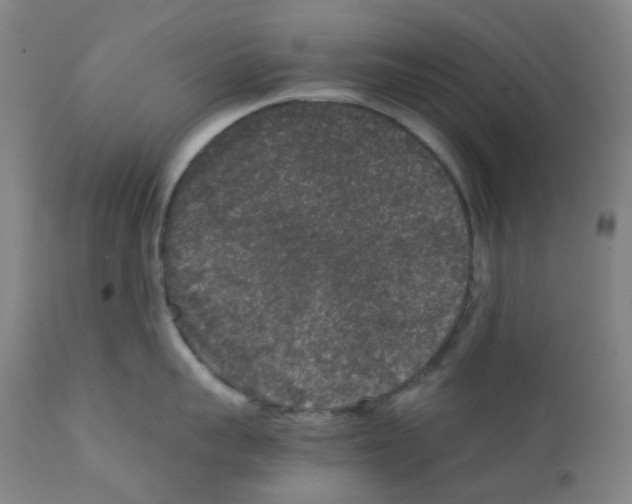 X0000111840959200909031700