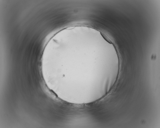 X0000111840960200909031700