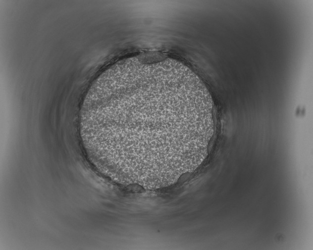 X0000111840961200909031659