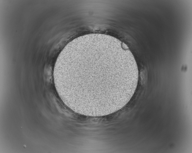 X0000111840963200909031659