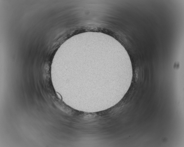 X0000111840964200909031659