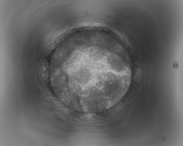 X0000111840966200909031659