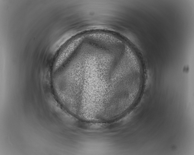 X0000111840969200909031659