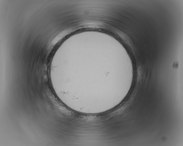 X0000111840970200909031659