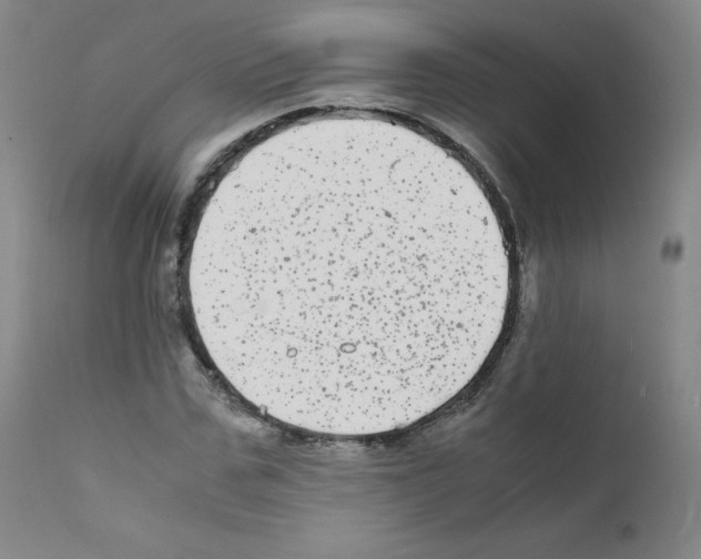 X0000111840971200909031659