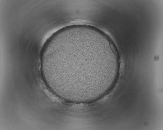 X0000111840973200909031659