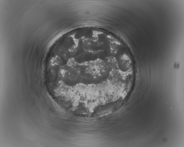 X0000111840975200909031659