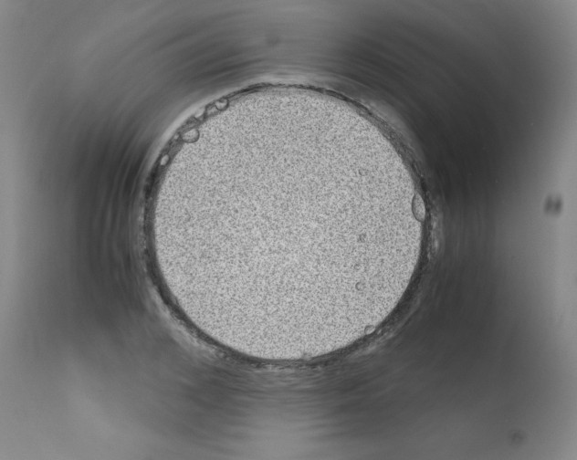 X0000111840976200909031659