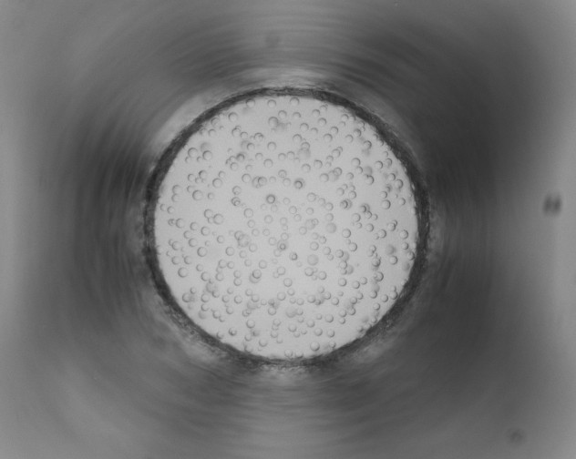 X0000111840978200909031659