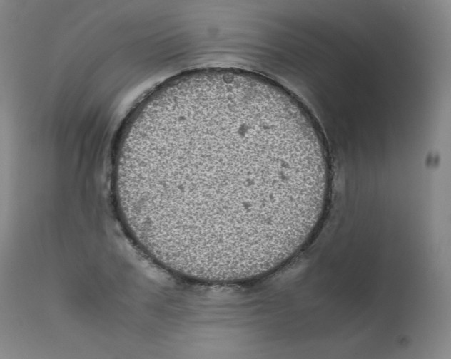 X0000111840979200909031659