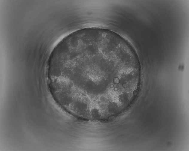 X0000111840983200909031659