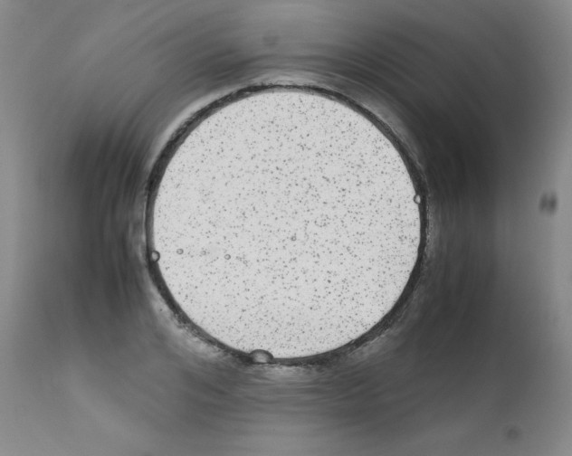 X0000111840984200909031659