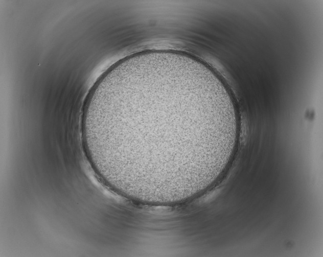 X0000111840986200909031659