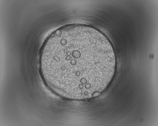 X0000111840987200909031659