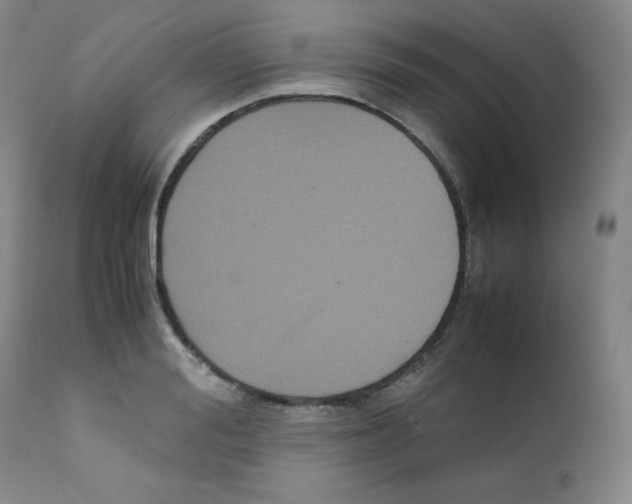 X0000111840988200909031659