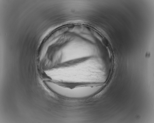 X0000111840989200909031659