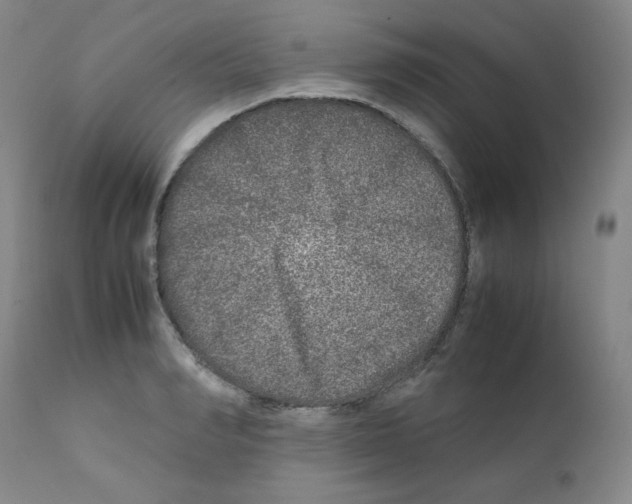 X0000111840990200909031659