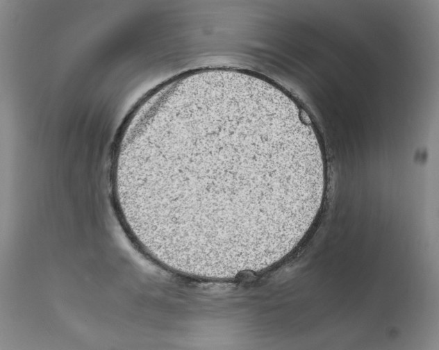 X0000111840991200909031659