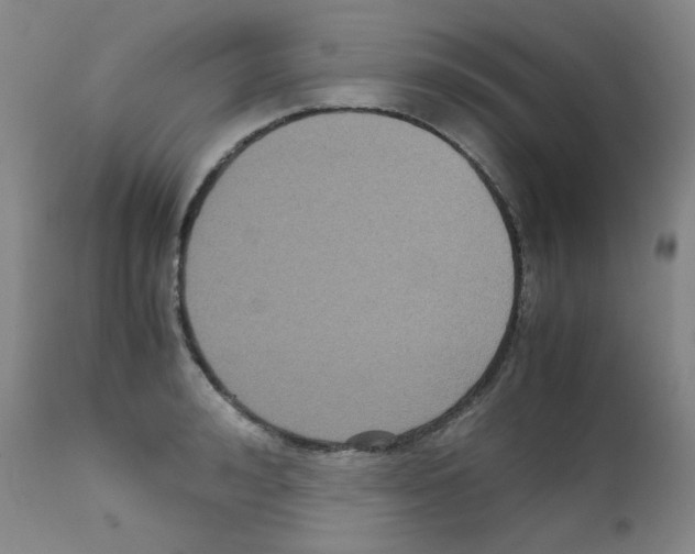 X0000111840992200909031659