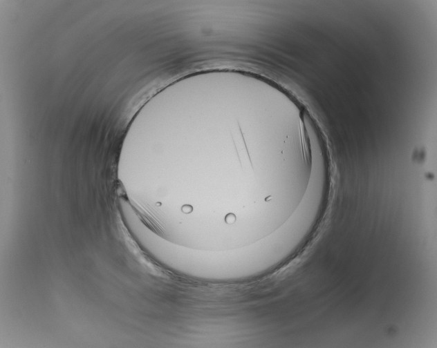 X0000111840993200909031659