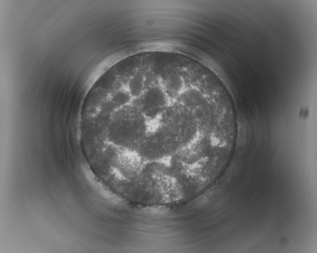 X0000111840994200909031659