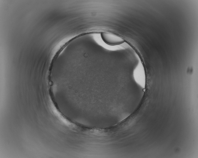 X0000111840995200909031659